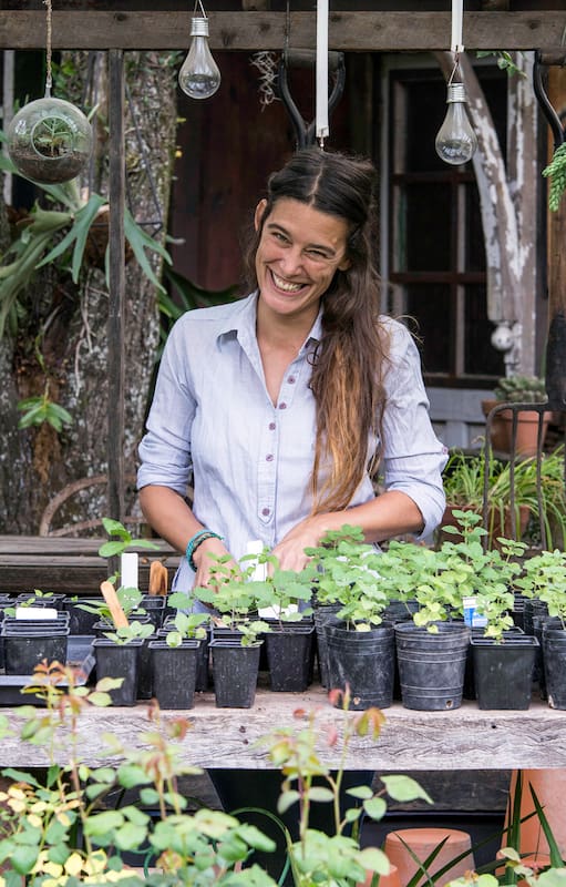 Cuáles son las plantas más elegidas por los paisajistas hoy y por qué