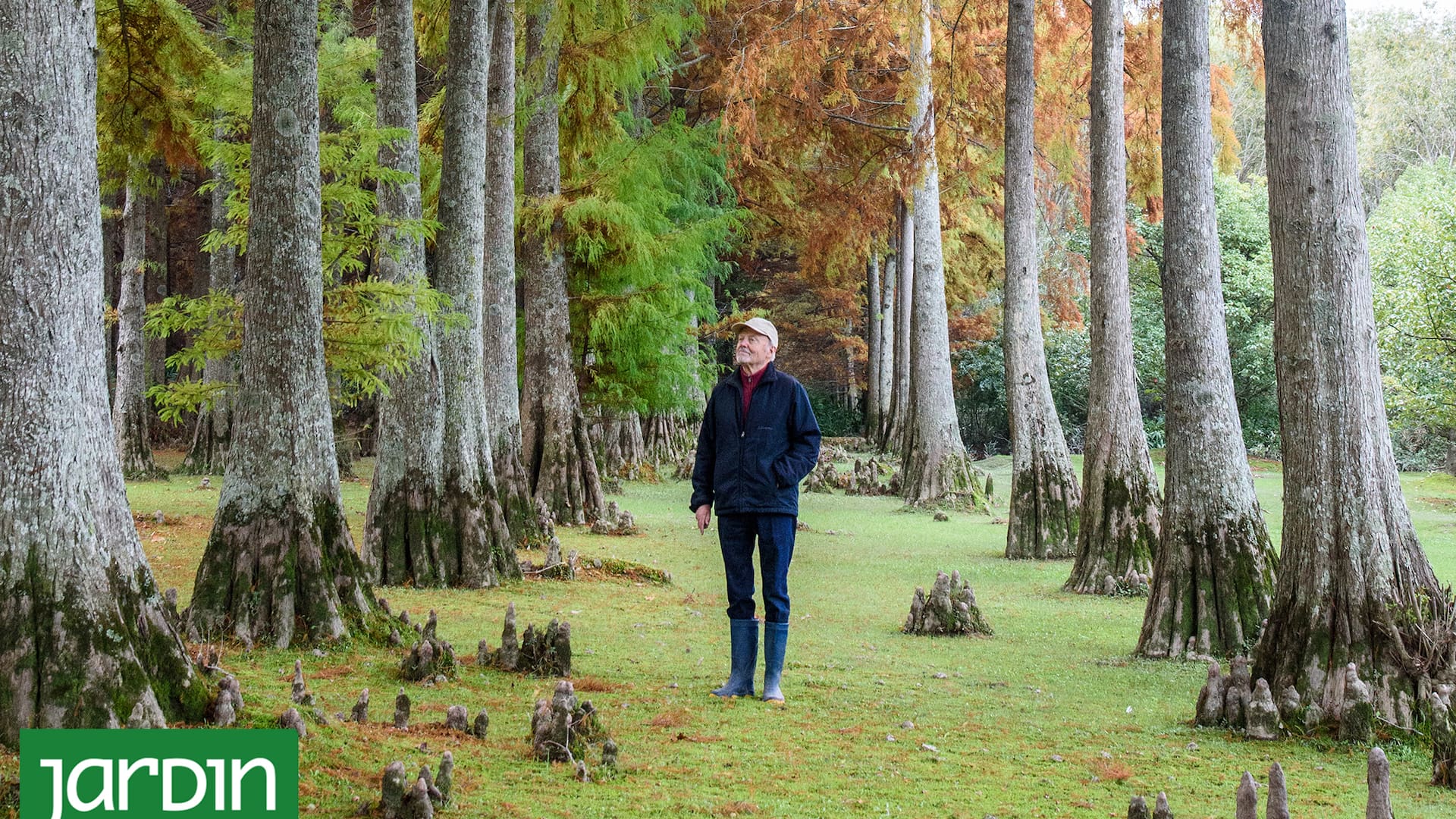 Isla Las Palmeras, un refugio de árboles y palmeras en el corazón del Delta