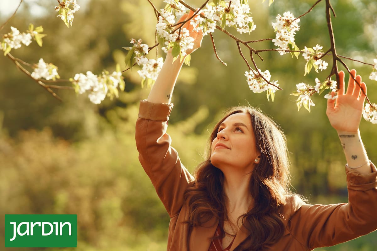 Jardines sensoriales: qué son, qué historia tienen y cómo hacer uno en casa