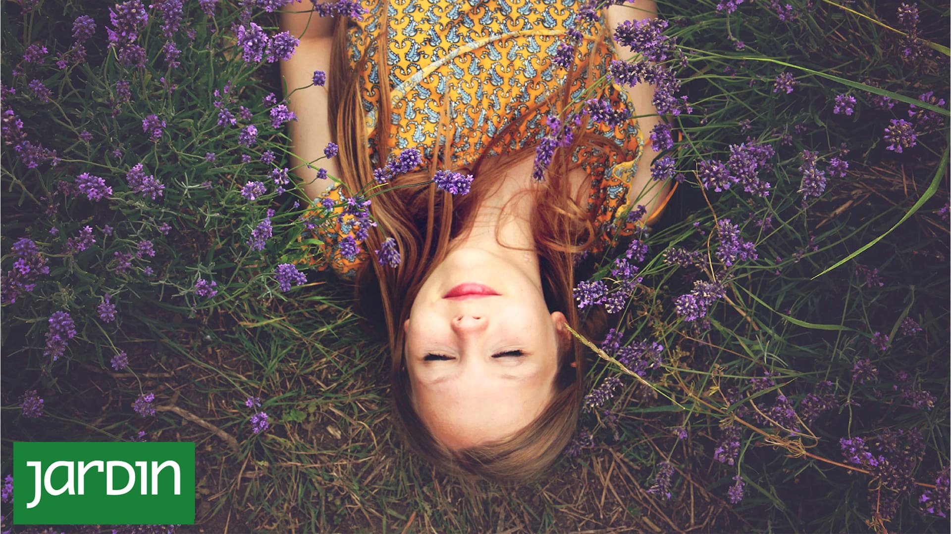 Te recomendamos 3 plantas que te ayudan a dormir mejor