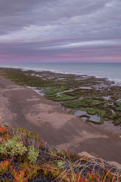 Cuatro playas salvajes y fuera del radar con menos de diez habitantes en la costa argentina 