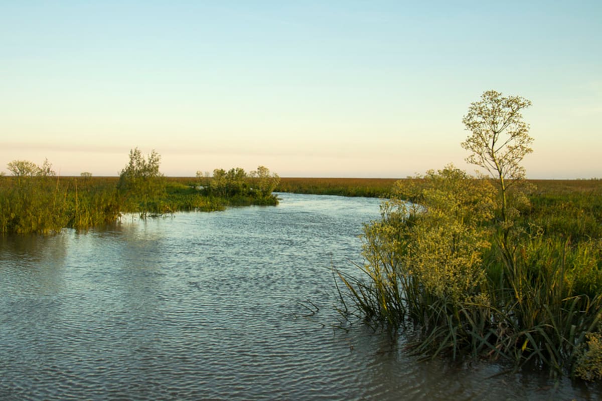 San Isidro tiene tres nuevas islas: ahora los vecinos eligen sus nombres