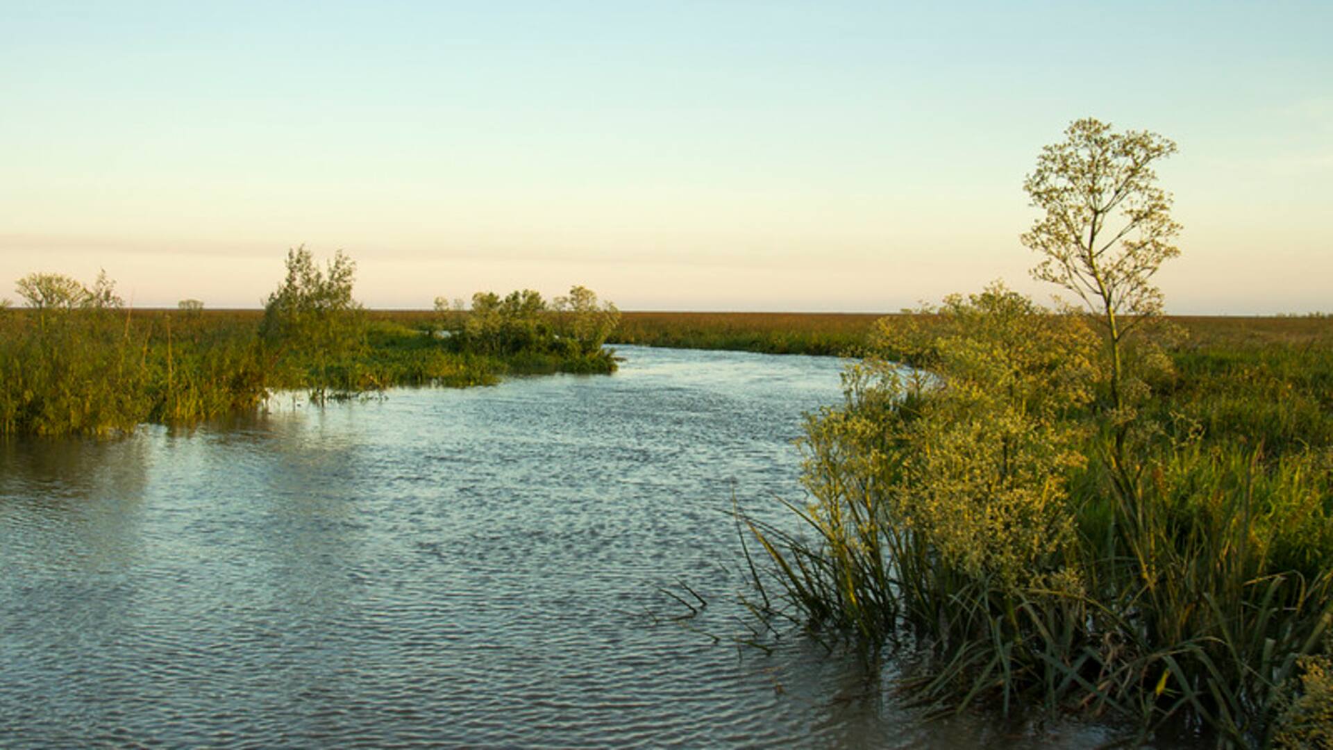 San Isidro tiene tres nuevas islas: ahora los vecinos eligen sus nombres