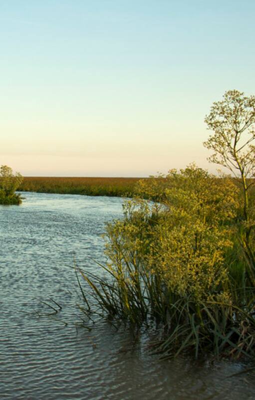 San Isidro tiene tres nuevas islas: ahora los vecinos eligen sus nombres