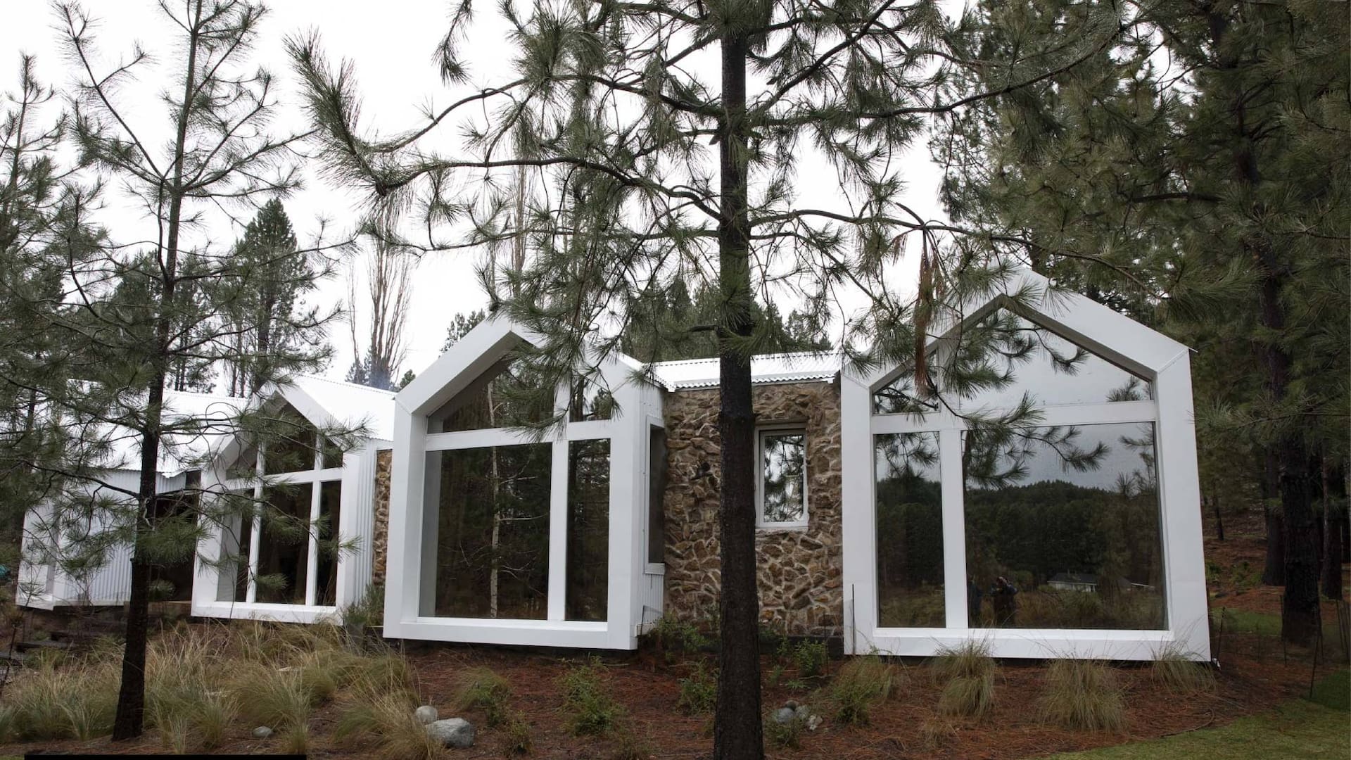 Un arquitecto hizo su casa modular en forma de abanico para que cada ambiente tuviera vista al bosque patagónico