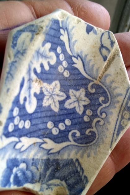 Tesoros en la playa: el misterio de las porcelanas inglesas en Centinela del Mar