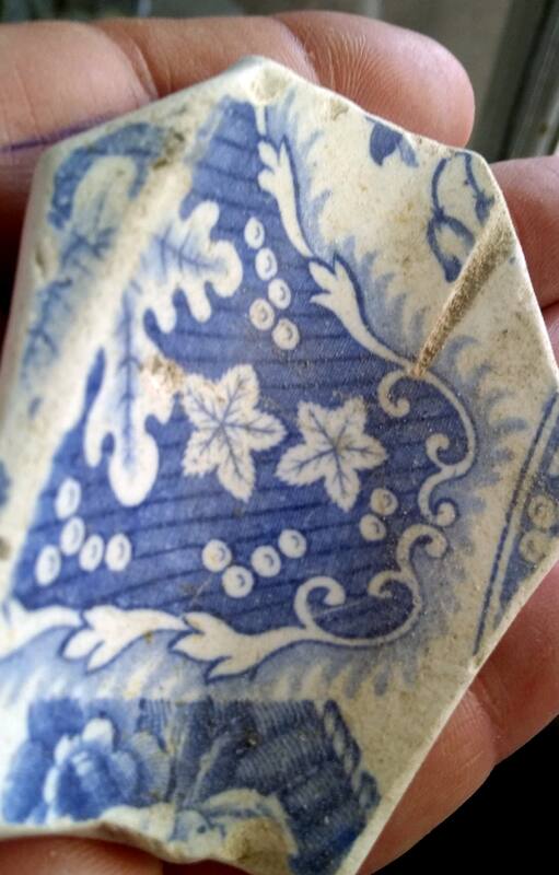 Tesoros en la playa: el misterio de las porcelanas inglesas en Centinela del Mar