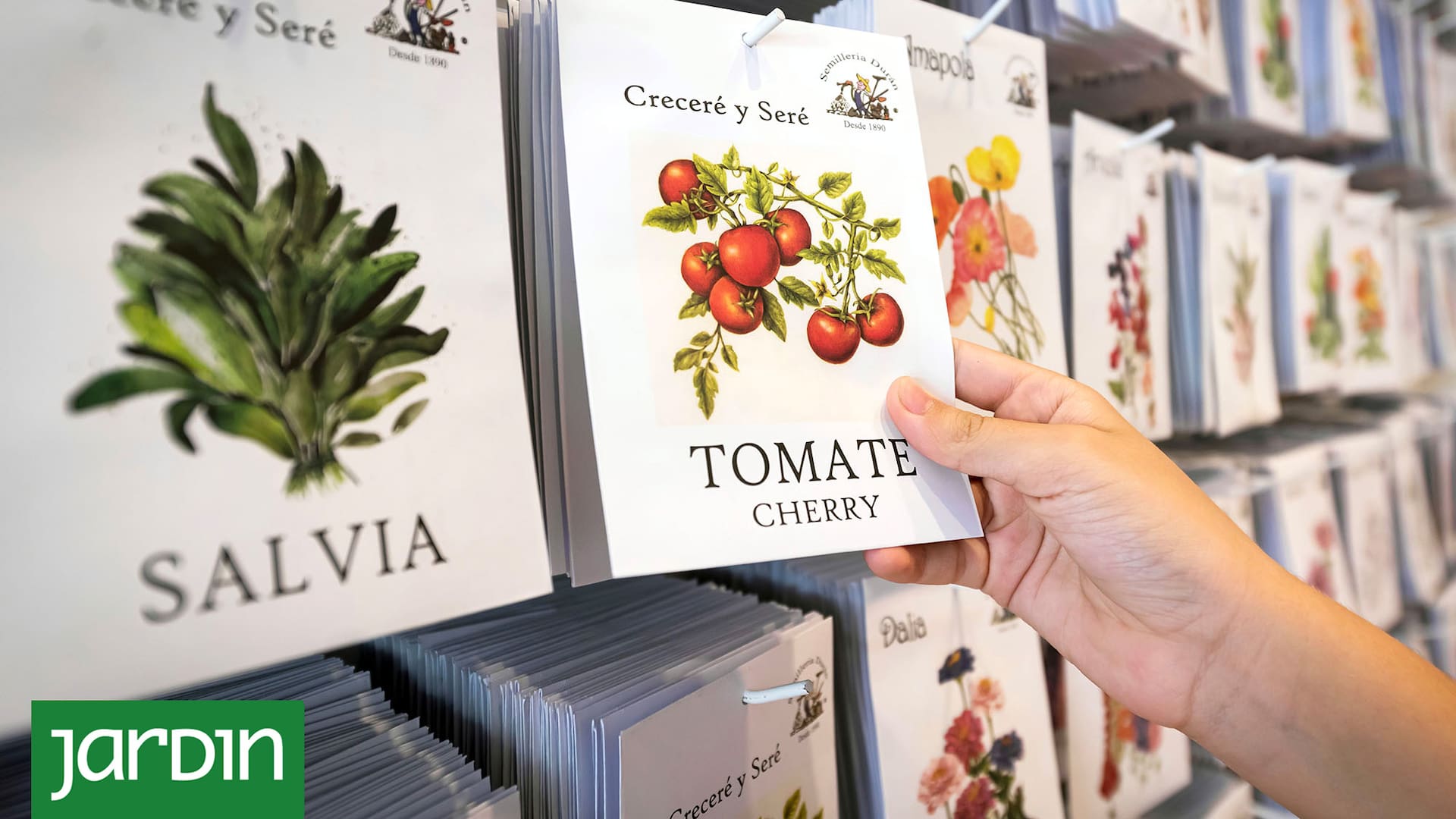 Semillerías boutique: Dónde comprar semillas de calidad para asegurarnos el éxito