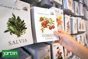 Dónde comprar semillas de calidad para asegurarnos el éxito