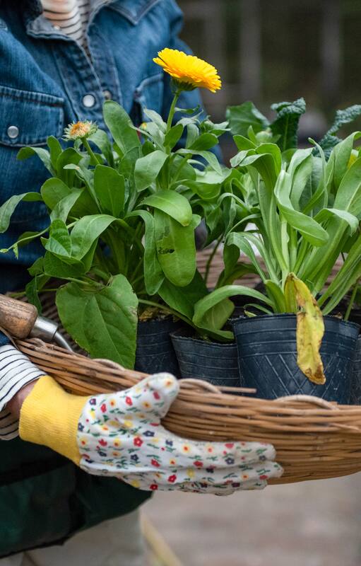 Espectacular los 365 días: cómo tener bien el jardín, incluso en otoño