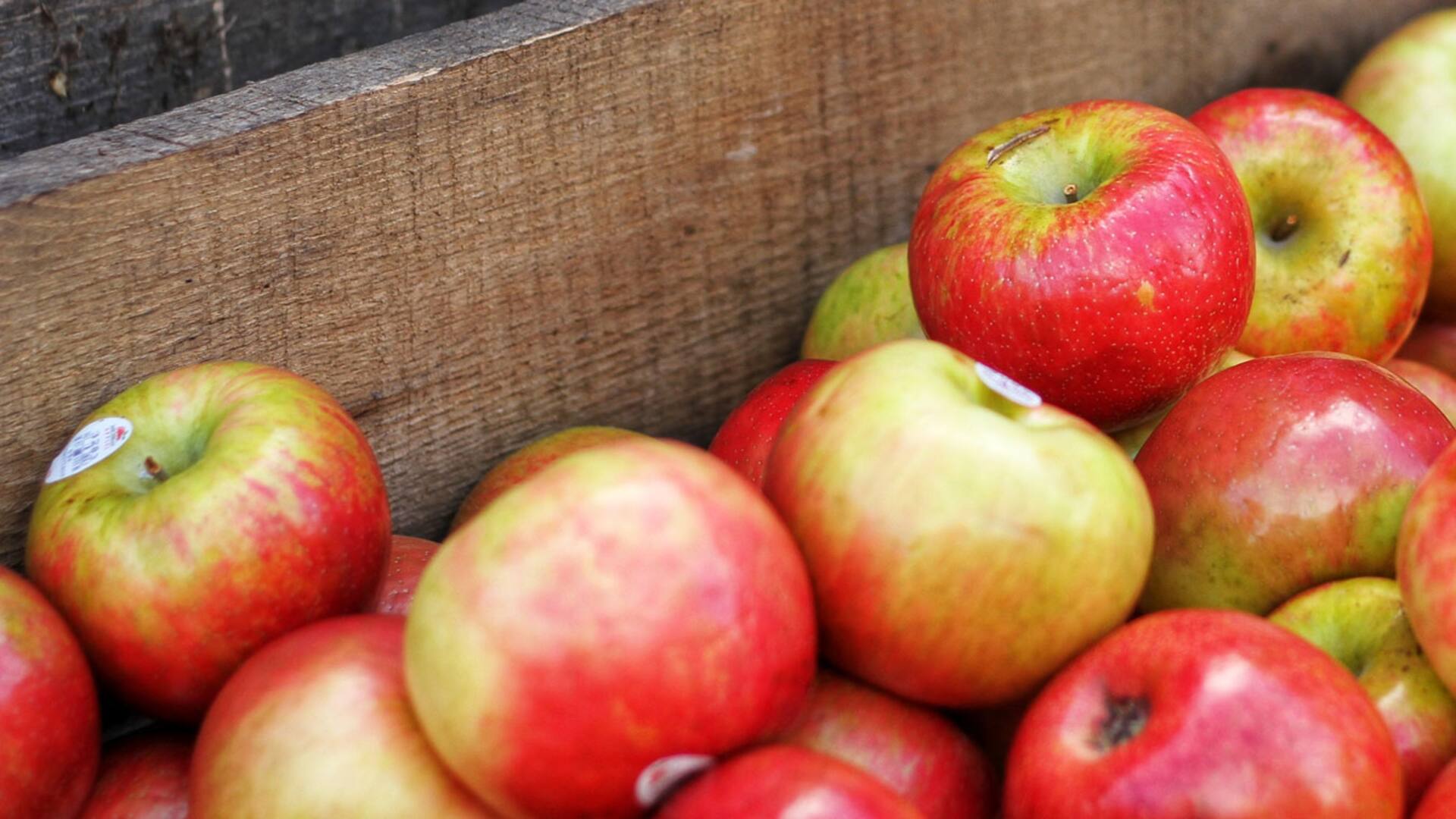 En postres, ensaladas o conservas: ideas para aprovechar la temporada de manzanas