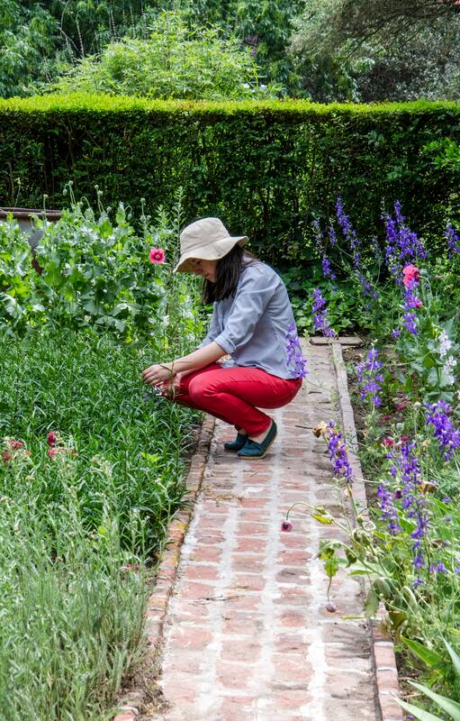 Los 10 errores más comunes al diseñar un jardín