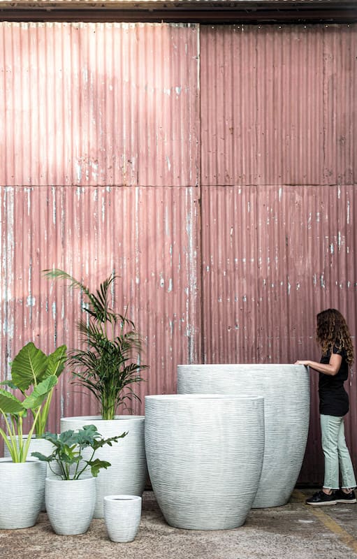 Universo macetas. Cuáles elegir para jardines, terrazas, balcones y patios