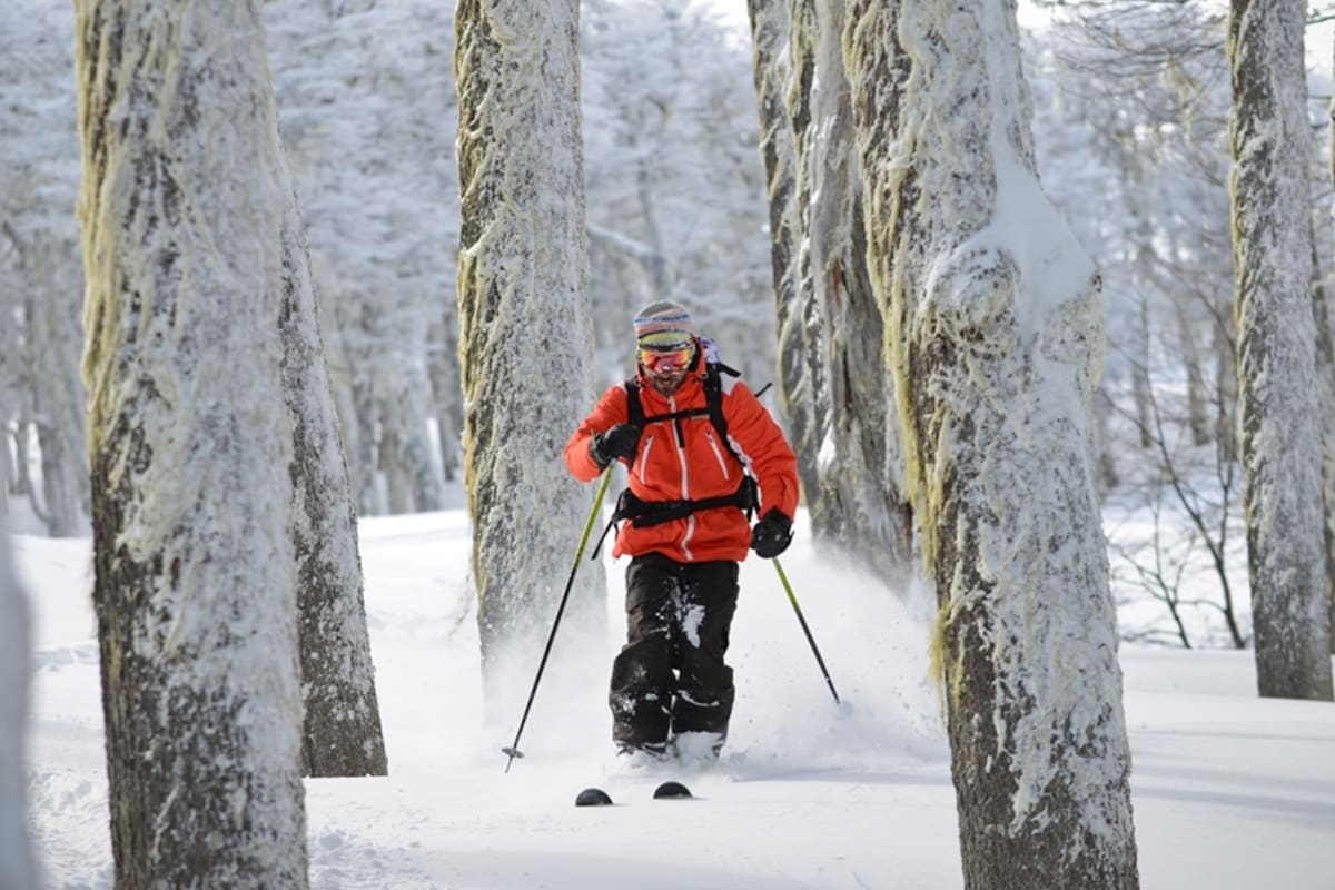 Chapelco: vacaciones ideales en la montaña y el bosque con servicios exclusivos