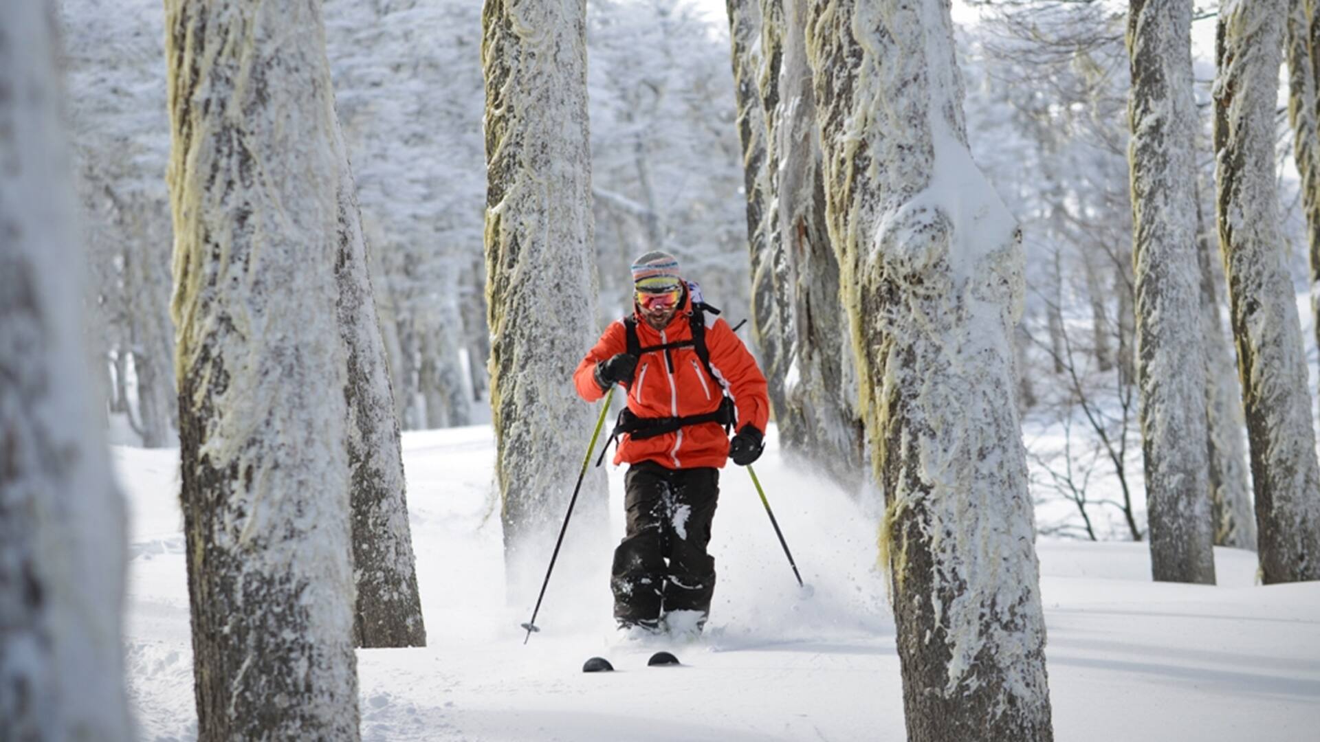 Chapelco: vacaciones ideales en la montaña y el bosque con servicios exclusivos
