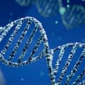 ¿Lo sagrado está en nuestros genes?