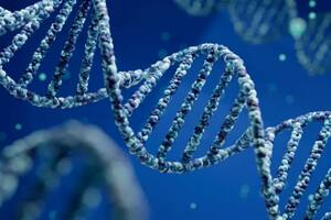 ¿Lo sagrado está en nuestros genes?
