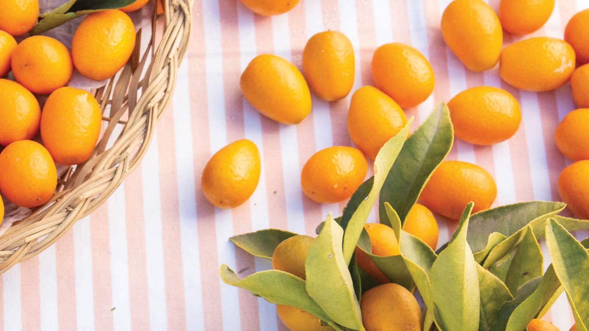 Quinoto, la fruta que podés cultivar en un balcón y convertir en exquisita mermelada