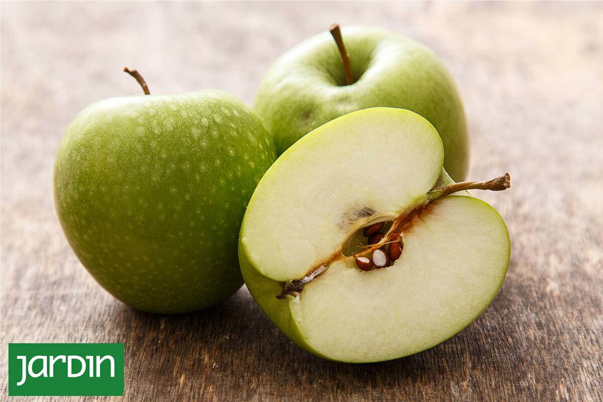 Chutney de manzana: una receta exprés para aprovechar la fruta estrella de la temporada