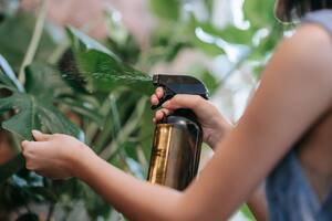 4 claves para saber si tus plantas no disfrutan del aire acondicionado tanto como vos