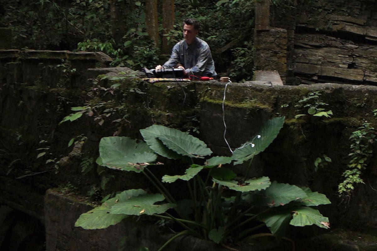 El artista argentino que, con tecnología, capta la energía de las plantas y la convierte en música