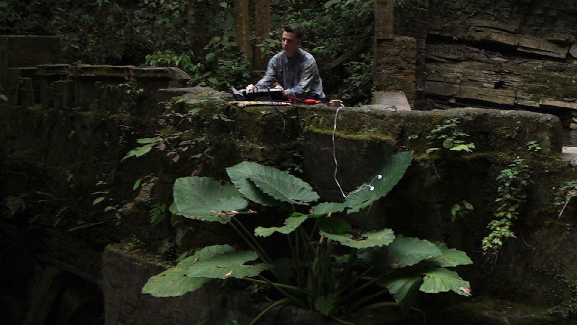 El artista argentino que, con tecnología, capta la energía de las plantas y la convierte en música