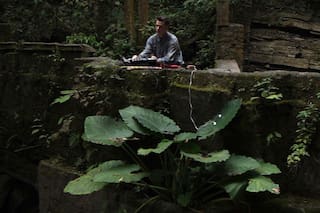Con tecnología, capta la energía de las plantas y la convierte en música