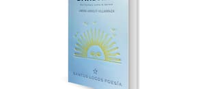 Bandada, de Jimena Arnolfi Villarraza