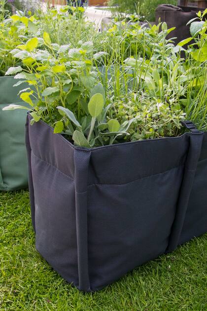 Cómo cultivar tus verduras en bolsas