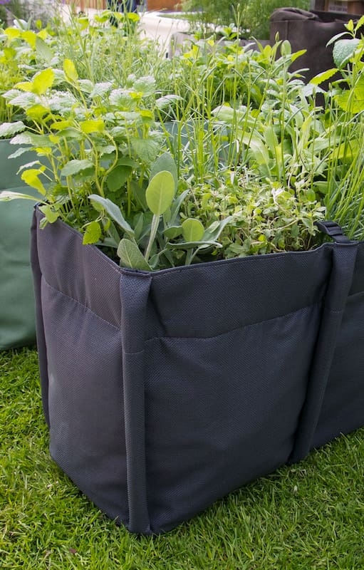 Cómo cultivar tus verduras en bolsas