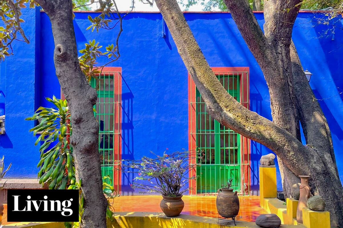 Mirá cómo es la casa de Frida Kahlo en Coyoacán, que inspiró algunas de sus más grandes obras.