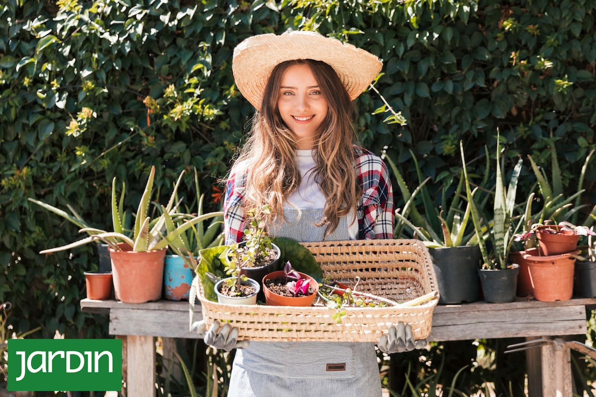 Jardines portátiles: ¿Cómo armar tu propio rincón verde que se mueve con vos?
