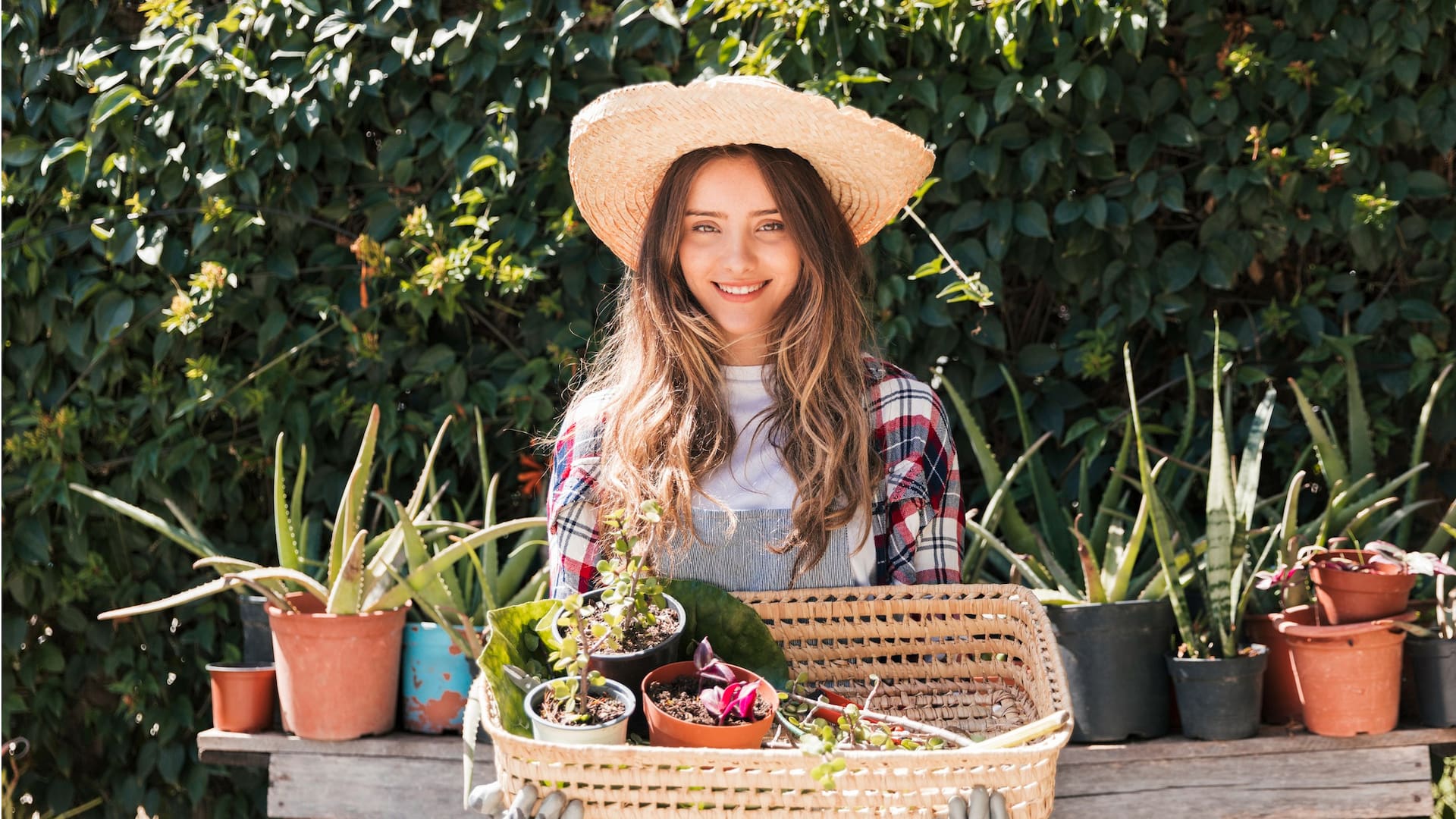 Jardines portátiles: ¿Cómo armar tu propio rincón verde que se mueve con vos?