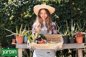 ¿Cómo armar tu propio rincón verde que se mueve con vos?