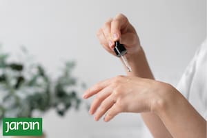 Qué aceites naturales pueden calmar tus emociones y cómo utilizarlos