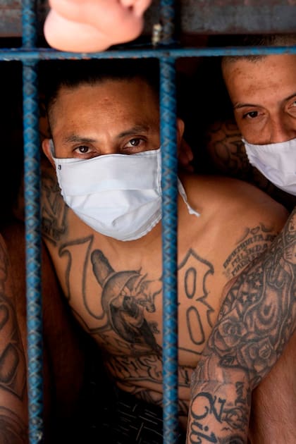 En fotos. Así están detenidos los pandilleros más peligrosos de El Salvador
