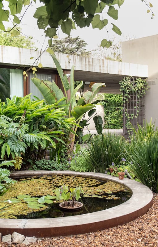 Un jardín con estilo tropical, con espacios integrados y accesibilidad para personas con movilidad reducida