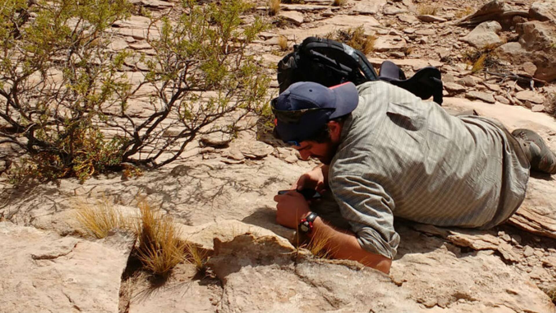 Por qué estudiar Geología, una carrera clave para desarrollar los recursos naturales del país