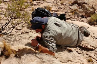Por qué estudiar Geología, carrera clave para desarrollar los recursos del país