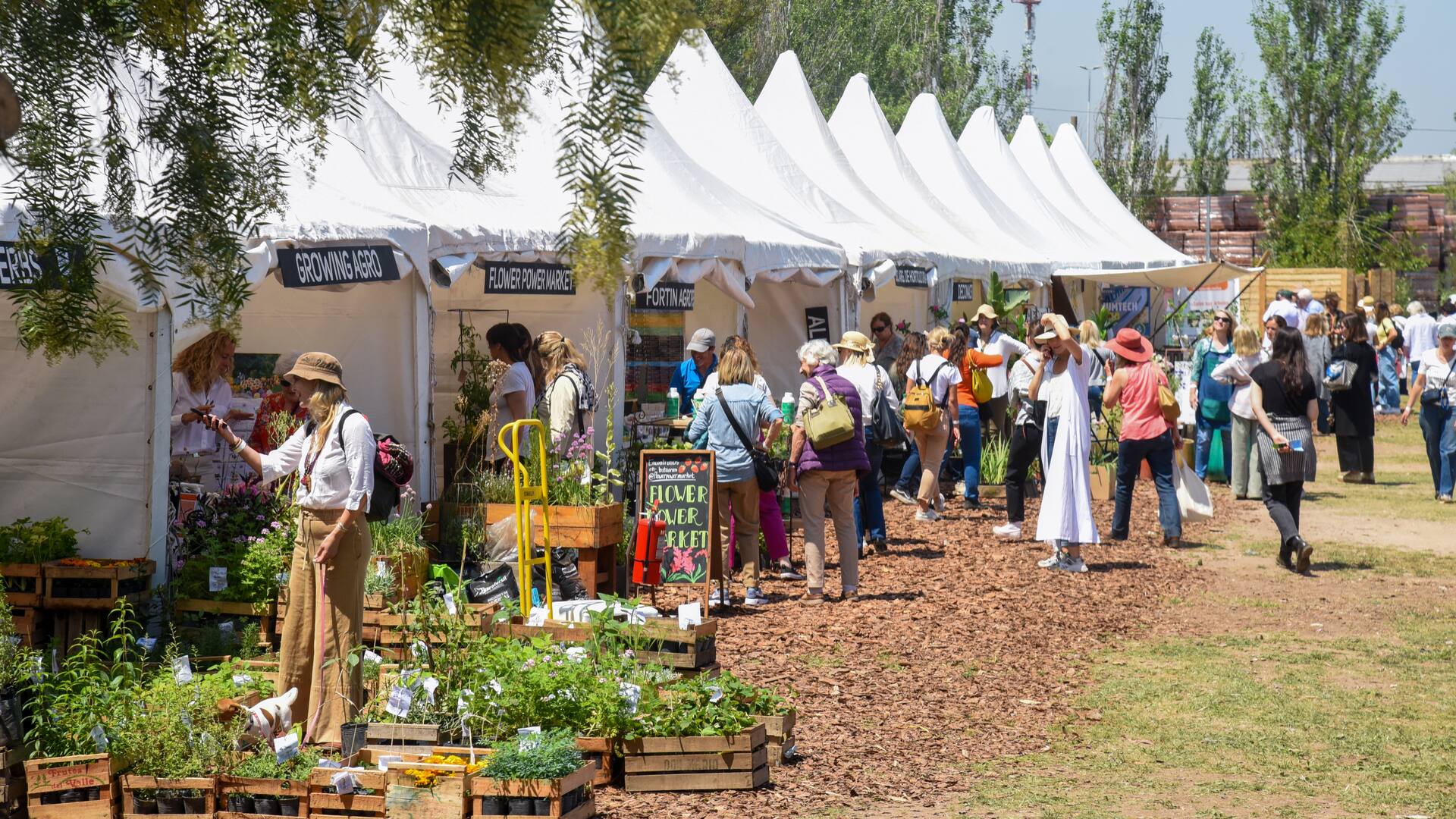 Por la lluvia, se posterga para mañana viernes el incio de Jardín Fest, la gran fiesta de la jardinería y el paisajismo.