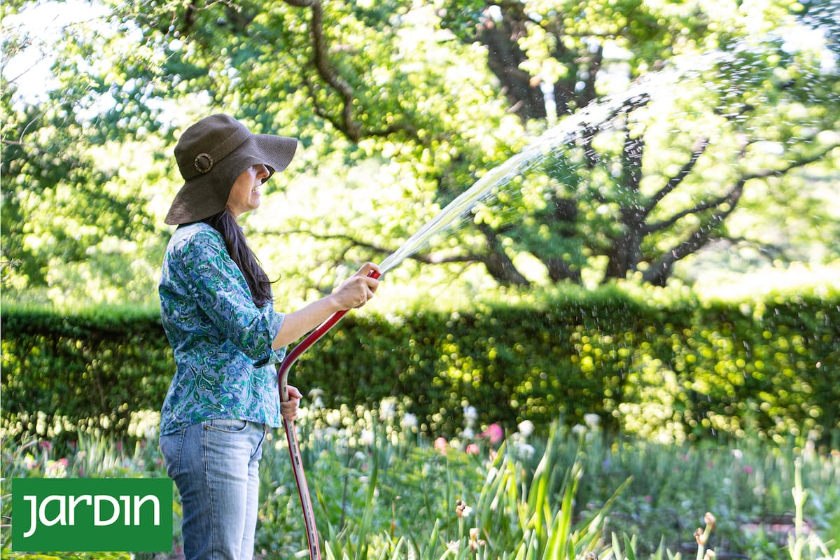 5 descuidos imperdonables que pueden arruinar tu jardín este verano