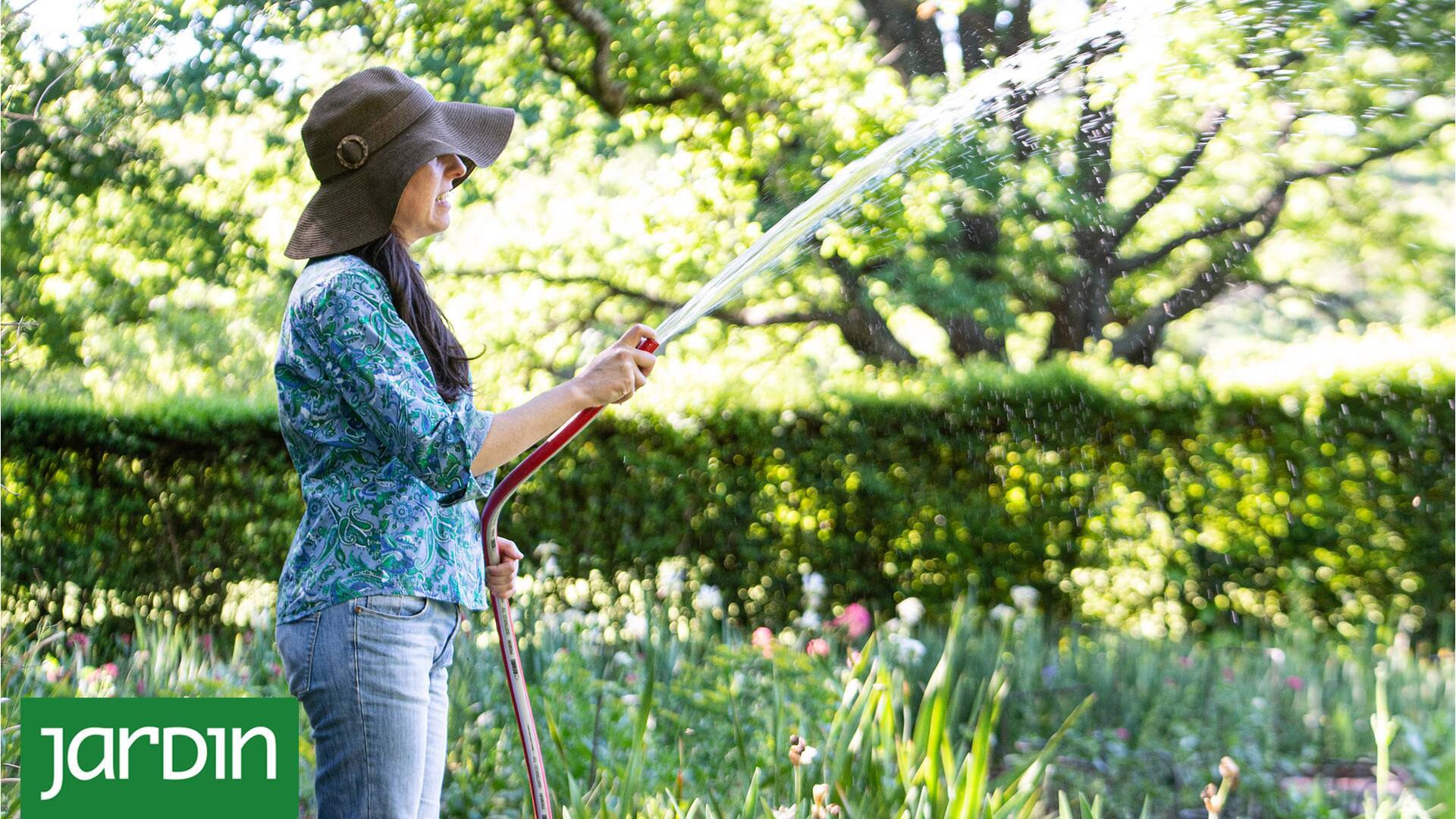 5 descuidos imperdonables que pueden arruinar tu jardín este verano