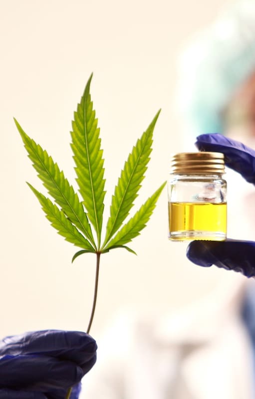 Canabis medicinal: ¿qué cambió con la nueva ley?