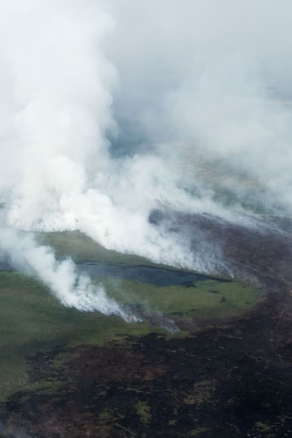 Corrientes: en solo un mes, los incendios ya quemaron más de 30.000 hectáreas  
