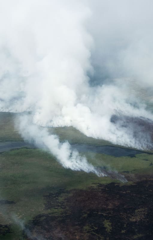 Corrientes: en solo un mes, los incendios ya quemaron más de 30.000 hectáreas