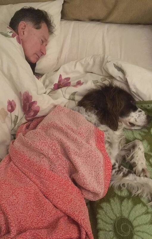 Conmovedor. Duerme en el sofá de la PB de la casa para hacerle compañía a su perro mayor