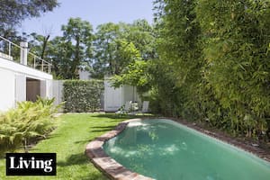 Ideas de diseño que aprovecharon al máximo 4 jardines chicos