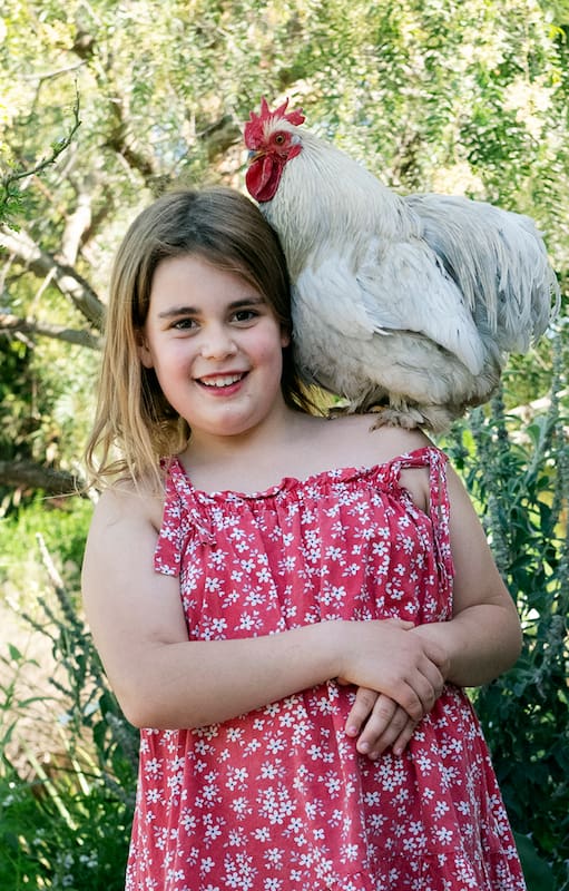 Por qué es necesario tener gallinas en tu jardín y qué razas se recomiendan