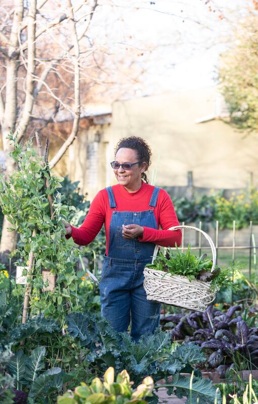 Huerta orgánica: cómo un páramo se convirtió en un jardín comestible