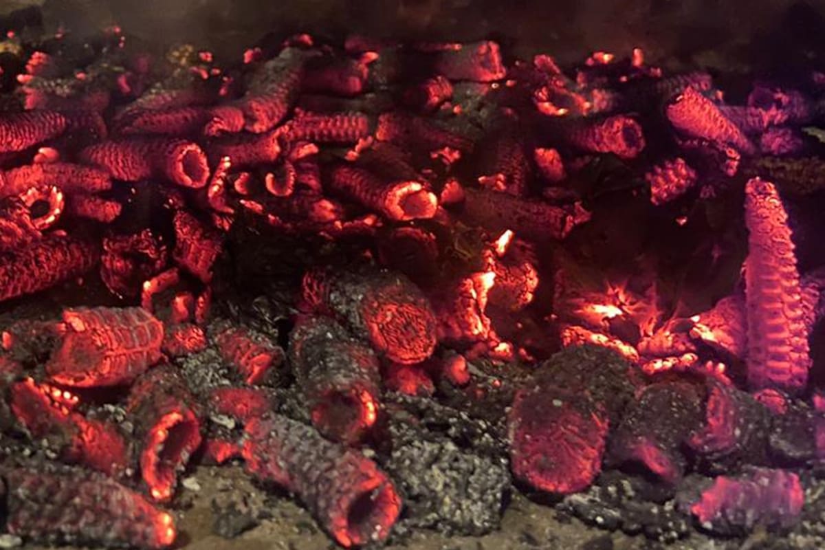 De la basura a la parrilla: la historia de Marlo, el sustituto ecológico del carbón